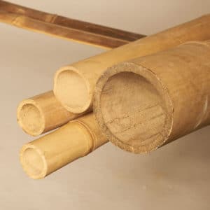 bamboo