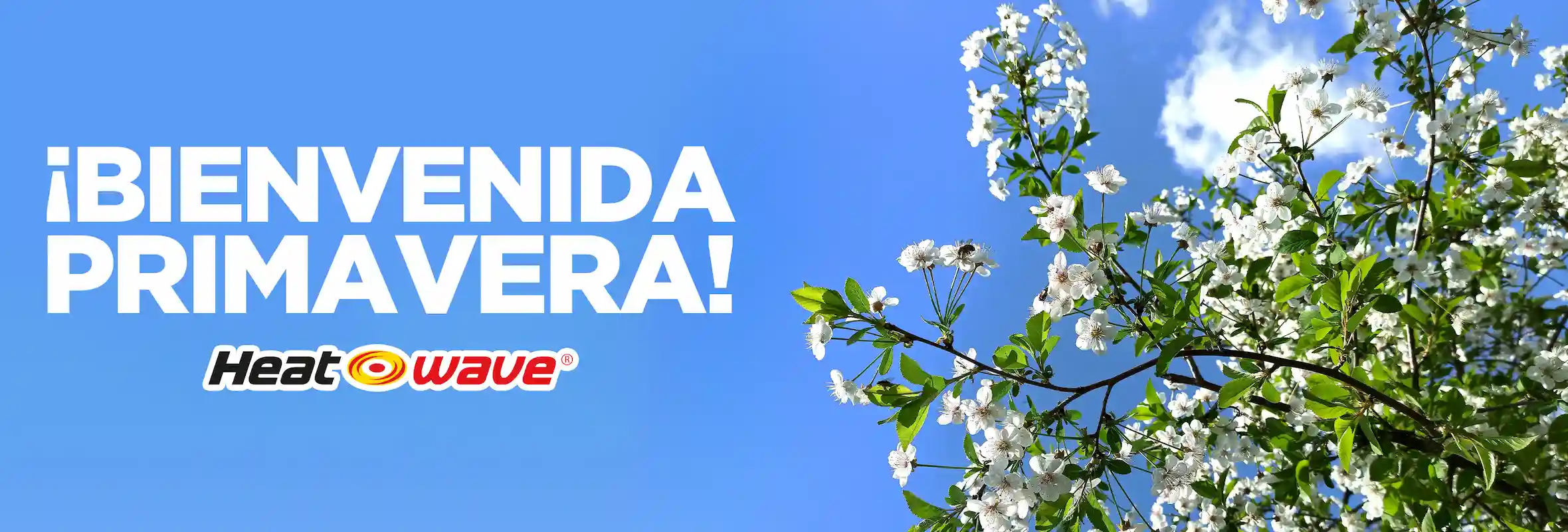 PORTADA-BIENVENIDA-PRIMAVERA