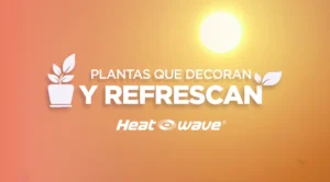 Imagen con un texto que dice Plantas que decoran y refrescan