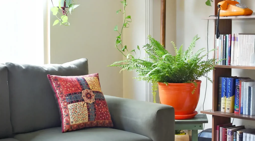 Imagen de una sala con plantas decorativas como helechos y potus que refrescan el lugar.